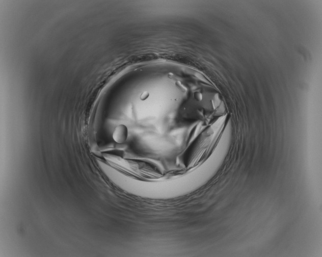 X0000113531298200910091214