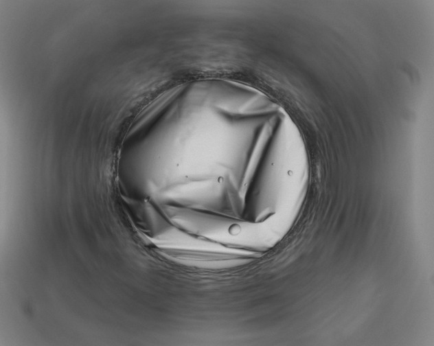 X0000113531300200910091215