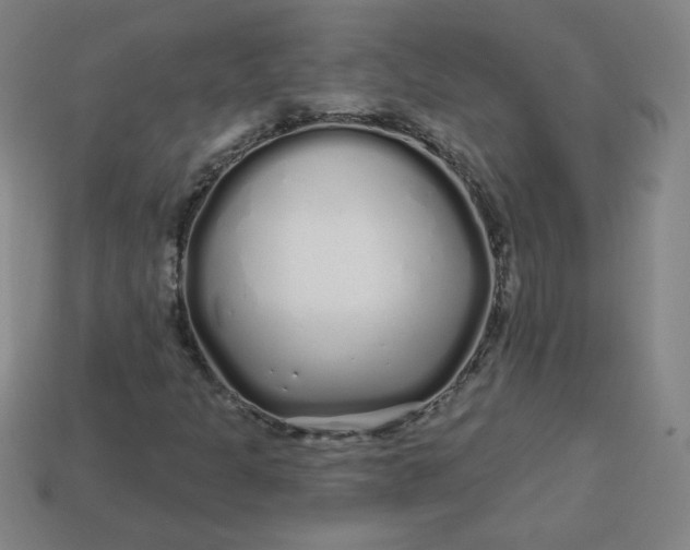 X0000113531301200910091215