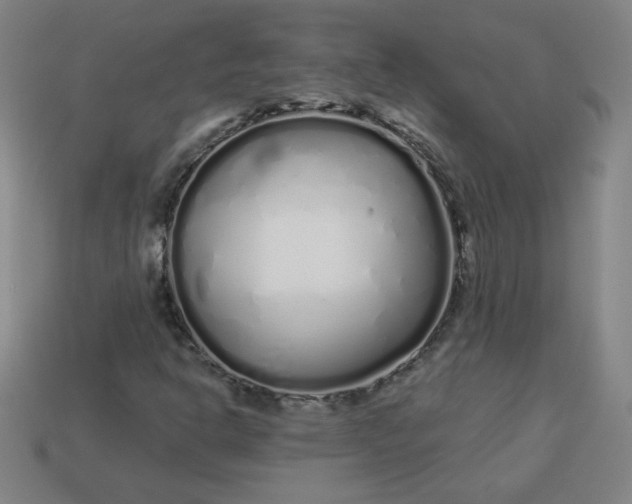 X0000113531302200910091215