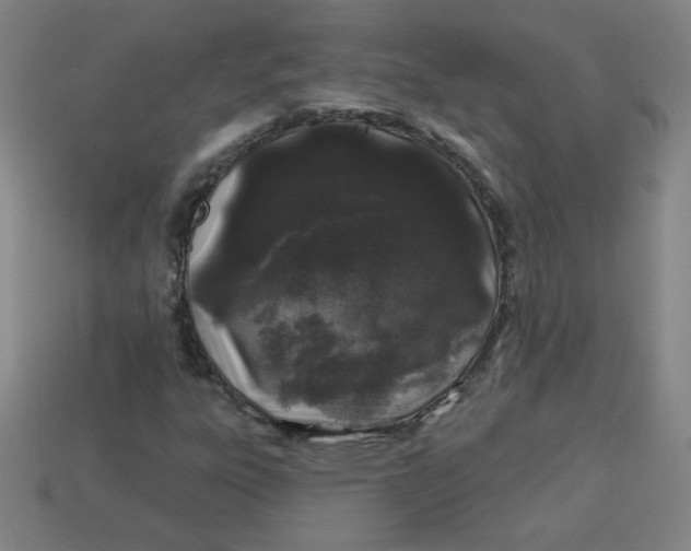 X0000113531303200910091215