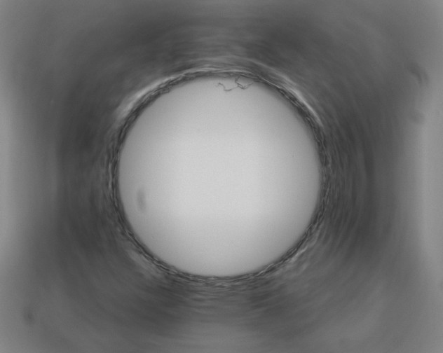 X0000113531304200910091215