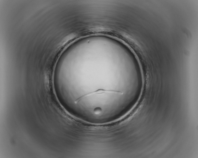 X0000113531305200910091215