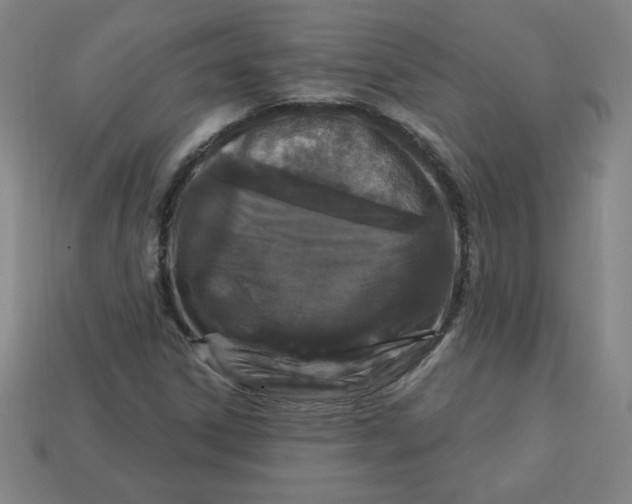 X0000113531306200910091215