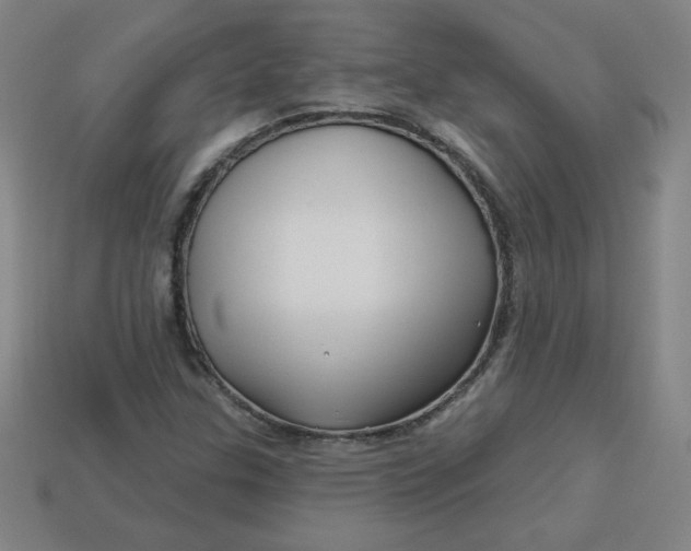 X0000113531307200910091215