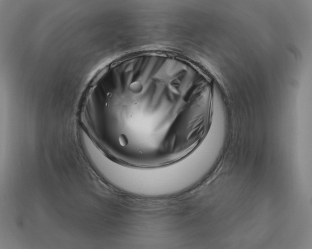 X0000113531308200910091215