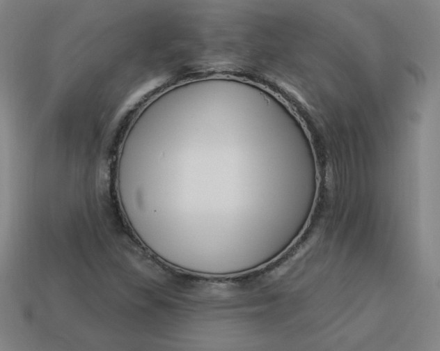 X0000113531309200910091215