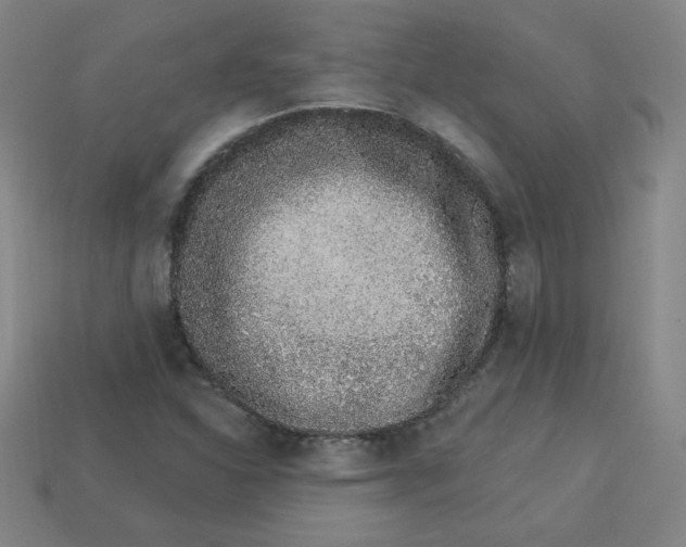 X0000113531310200910091215