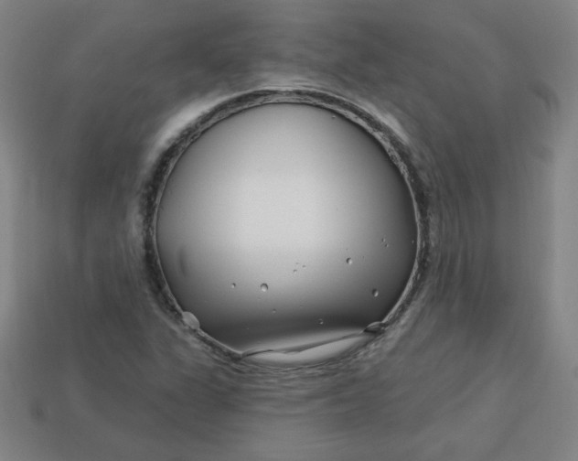 X0000113531311200910091215