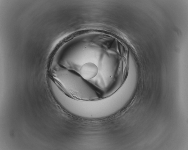 X0000113531312200910091215