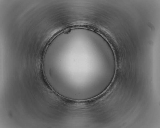 X0000113531313200910091215