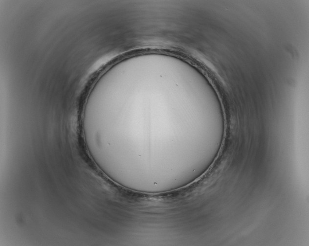 X0000113531315200910091215