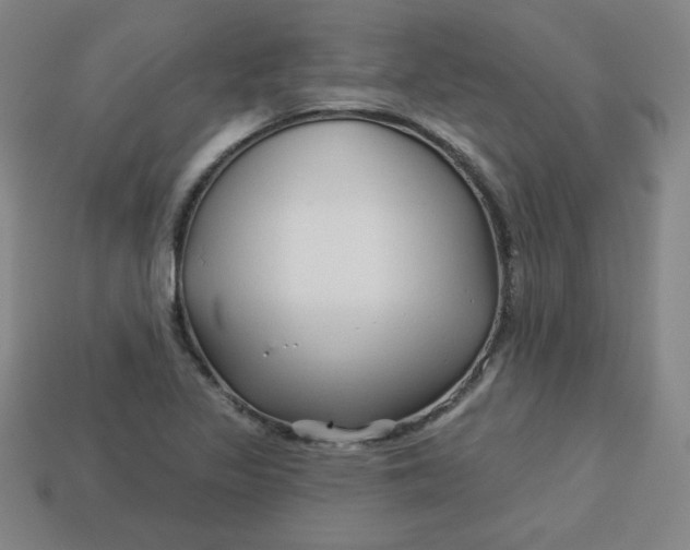 X0000113531317200910091215