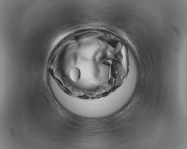 X0000113531320200910091215