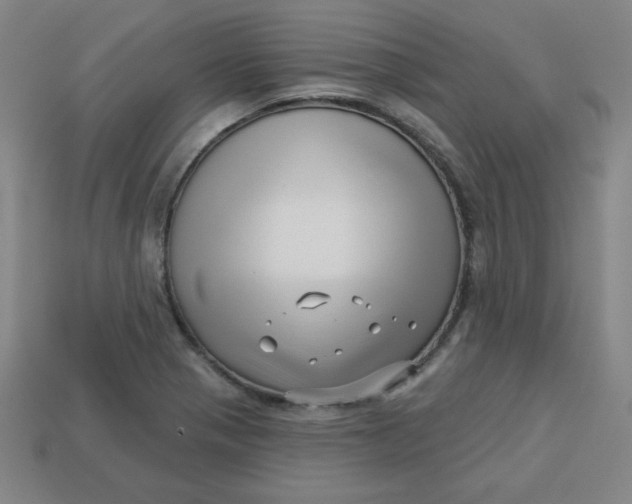 X0000113531321200910091215