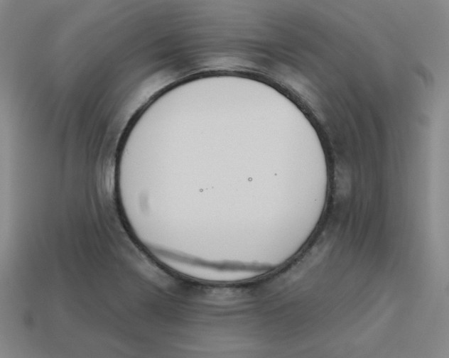 X0000113531322200910091215