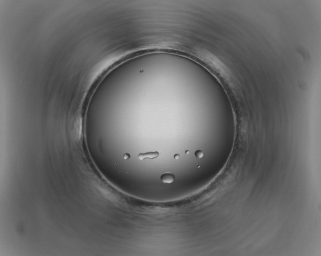 X0000113531324200910091215