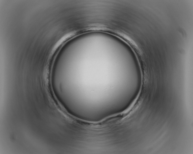 X0000113531325200910091215