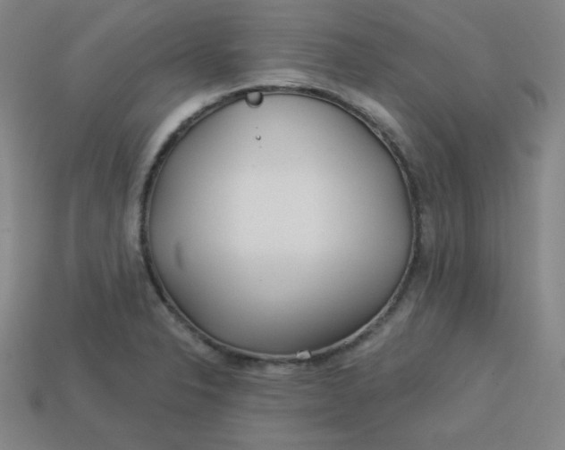 X0000113531326200910091215