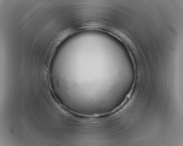 X0000113531329200910091215