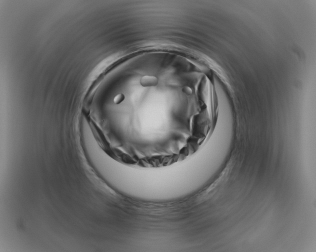 X0000113531330200910091215