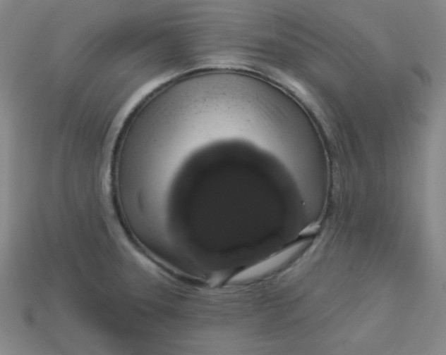 X0000113531331200910091215