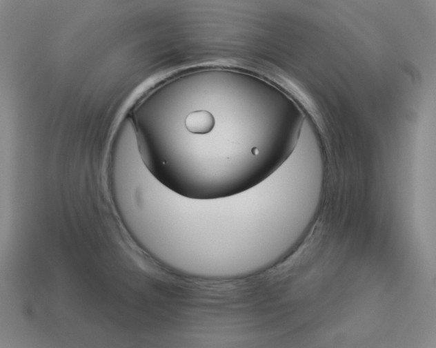 X0000113531332200910091215