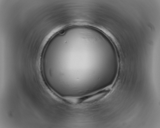 X0000113531333200910091215