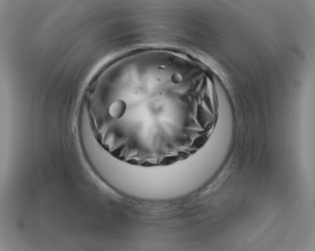 X0000113531334200910091215