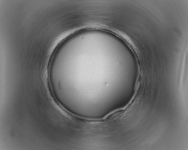 X0000113531335200910091215