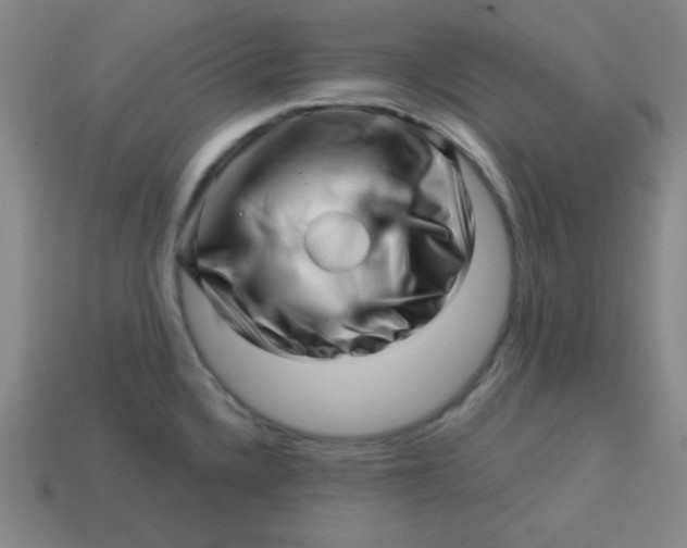 X0000113531336200910091215