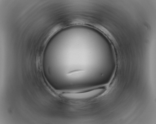 X0000113531337200910091215