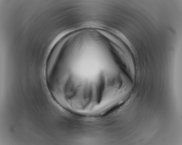 X0000113531339200910091215