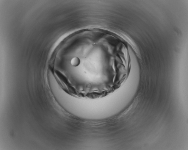 X0000113531340200910091215