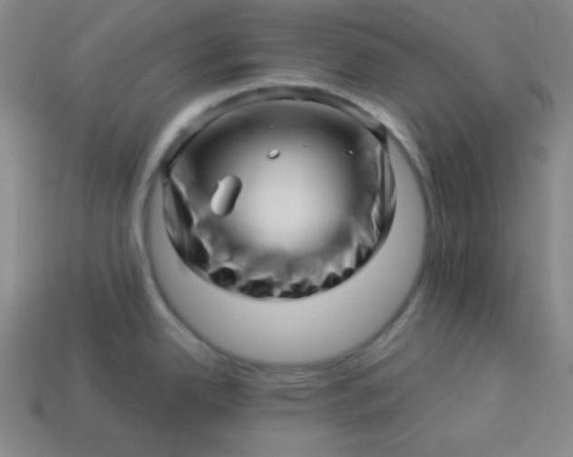 X0000113531342200910091215