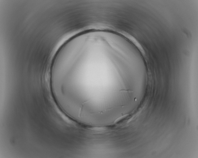 X0000113531343200910091215