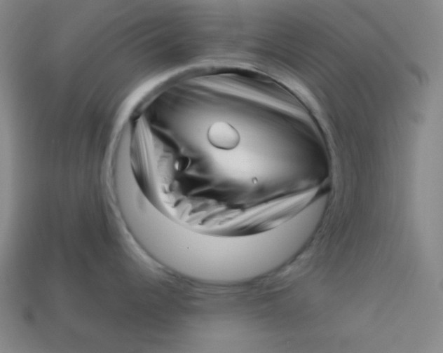 X0000113531344200910091215