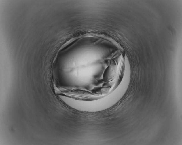 X0000113531345200910091214