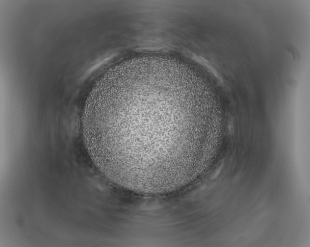 X0000113531350200910091214