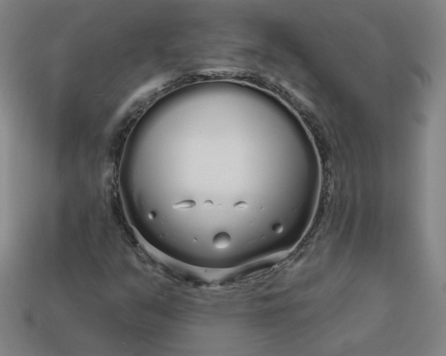 X0000113531351200910091214