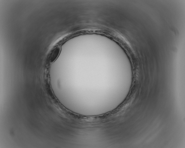 X0000113531352200910091214