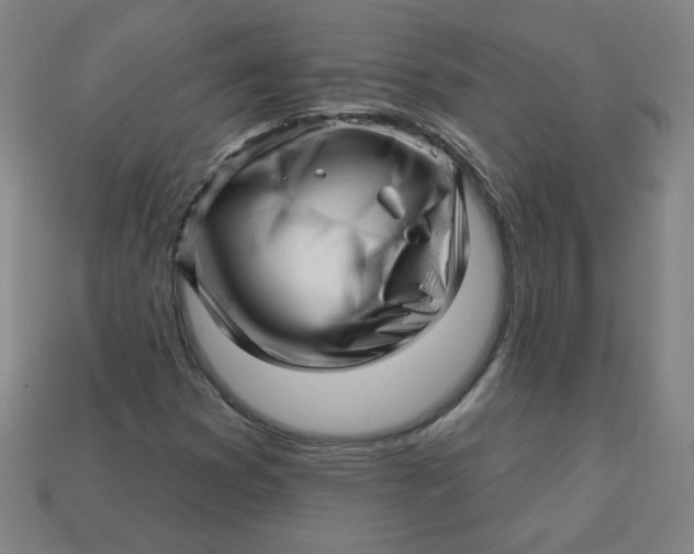 X0000113531353200910091214