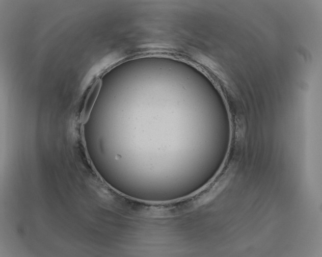 X0000113531357200910091214