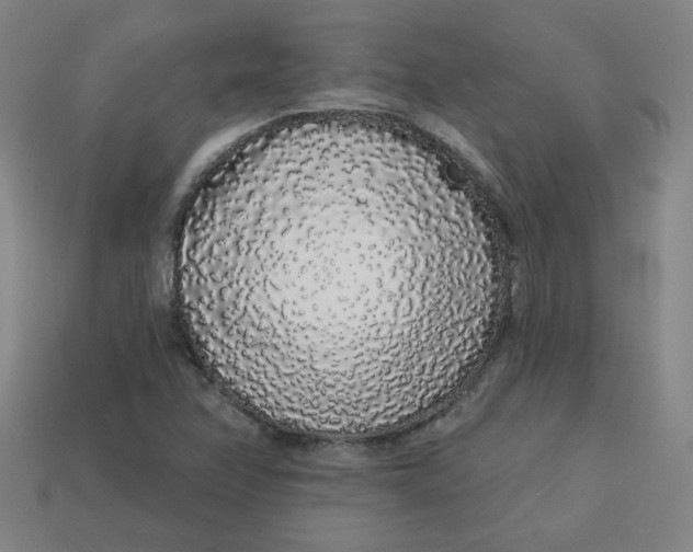 X0000113531358200910091214