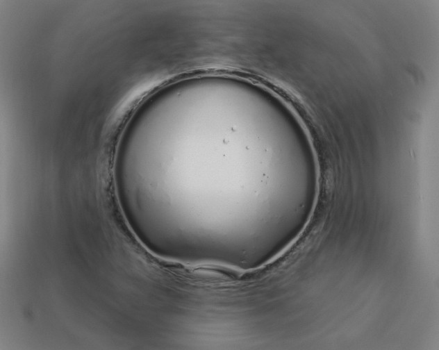 X0000113531359200910091214