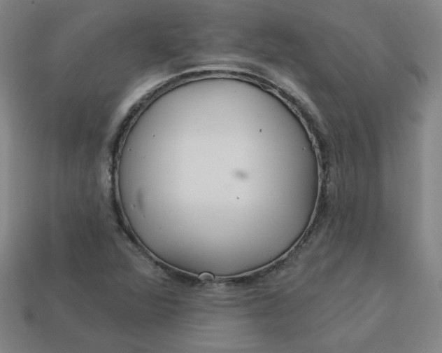 X0000113531360200910091214