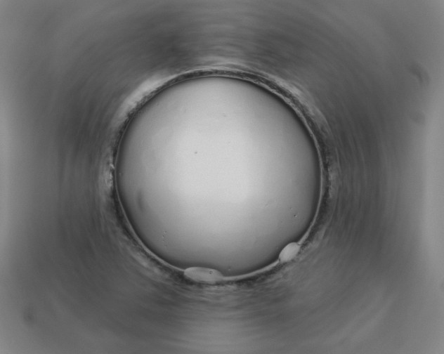 X0000113531363200910091214