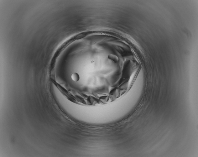 X0000113531364200910091214