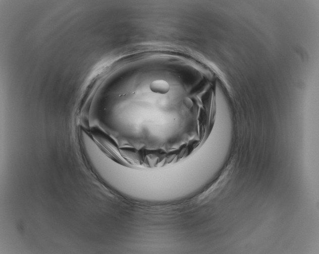 X0000113531365200910091214