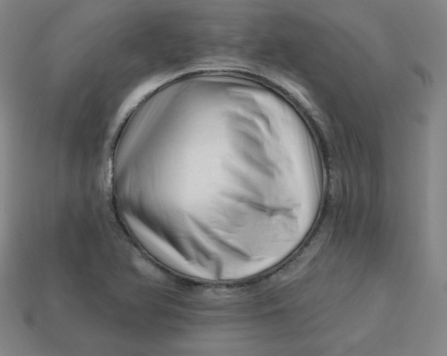 X0000113531366200910091214